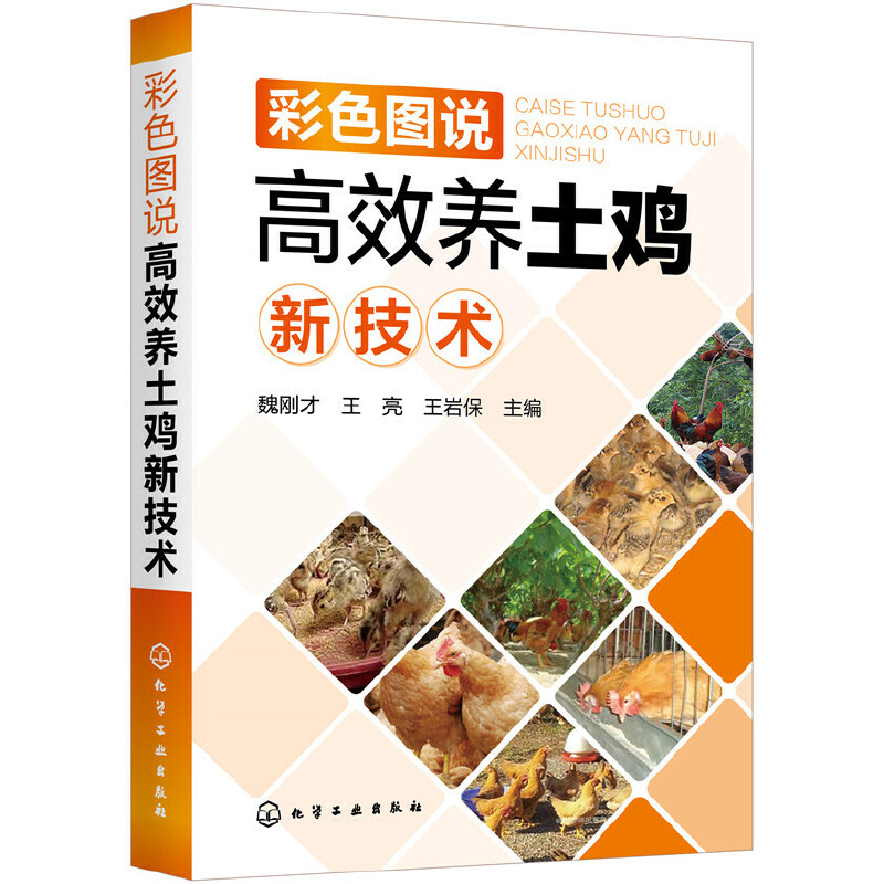 ��ɫ�D�f��Ч�B(y��ng)���u�¼��g