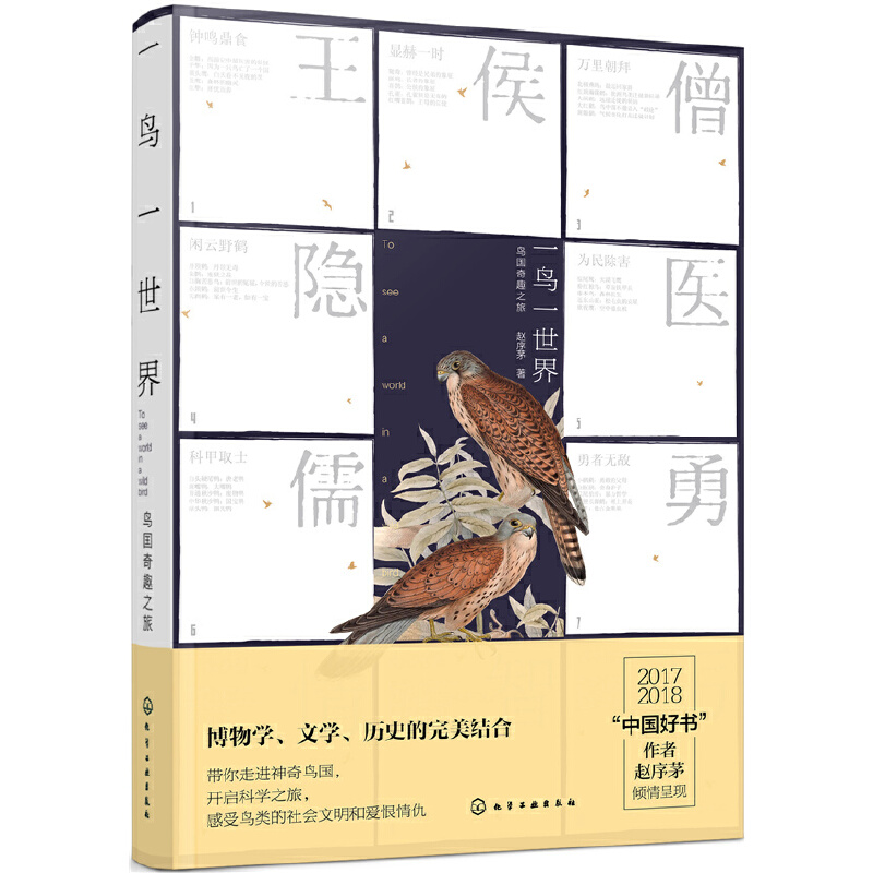 һ�Bһ���磺�B����Ȥ֮��