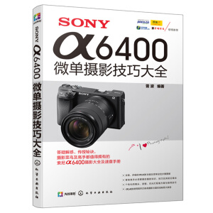 SONY ��6400΢�ΔzӰ���ɴ�ȫ