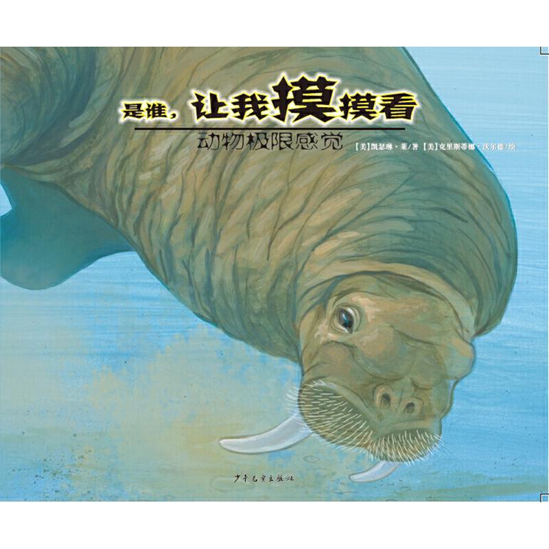 ����O�޸��X-���l��׌��������