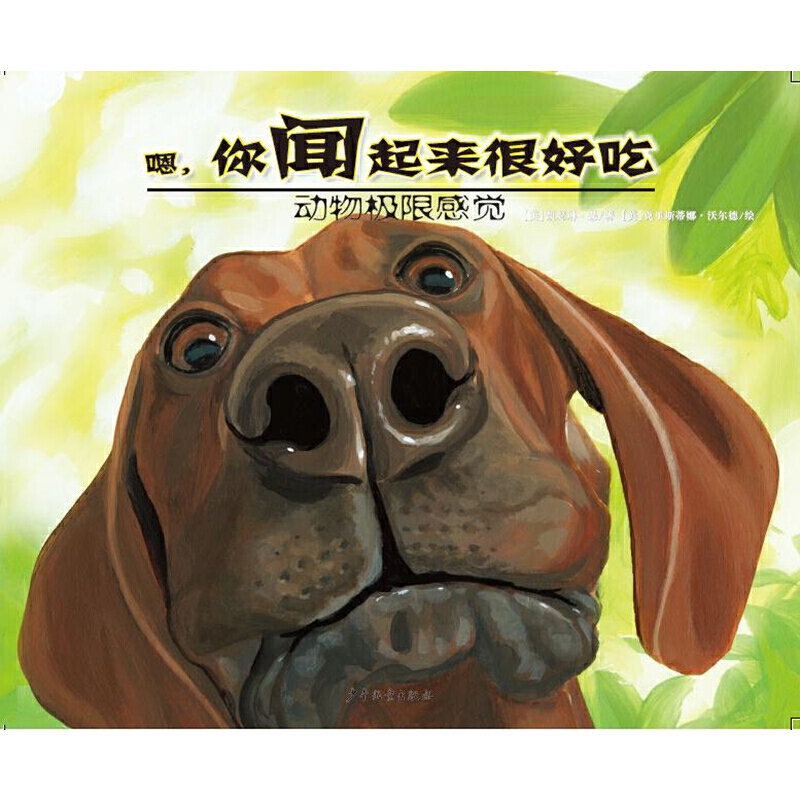 ����O�޸��X-�ţ��������ܺó�