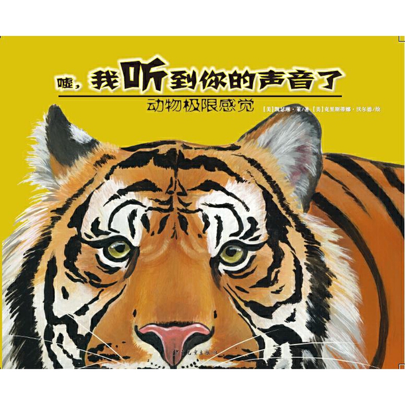 ����O�޸��X-�u���� ���������