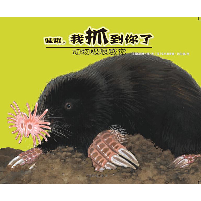 ����O�޸��X-��Ŷ����ץ������