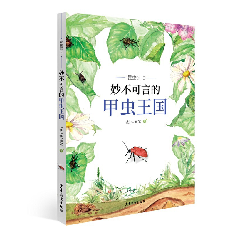 ���x(ch��ng)ӛ3 ����Եļ��x(ch��ng)����(gu��)