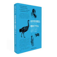 �_������·�Ͽ�����ʲô