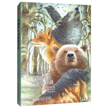 С���罛(j��ng)���Ď졤���烺ͯ�ČW(xu��)�����ʈDȫ�g�������DҰ����(d��ng)����¼�