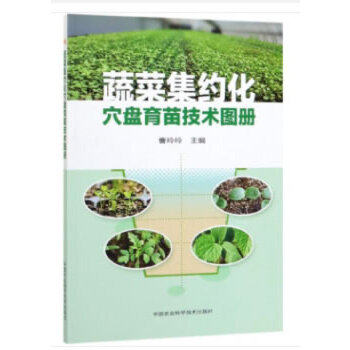 �߲˼��s��Ѩ�P���缼�g(sh��)�D��