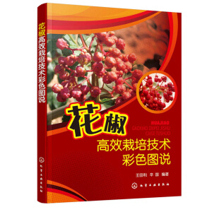 ������Ч���༼�g(sh��)��ɫ�D�f