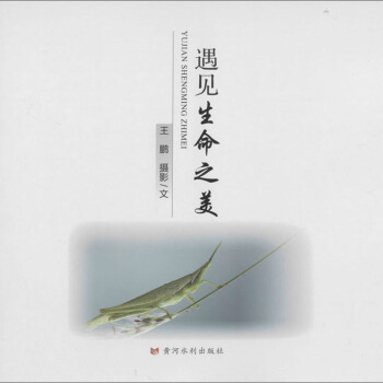 ��Ҋ����֮��