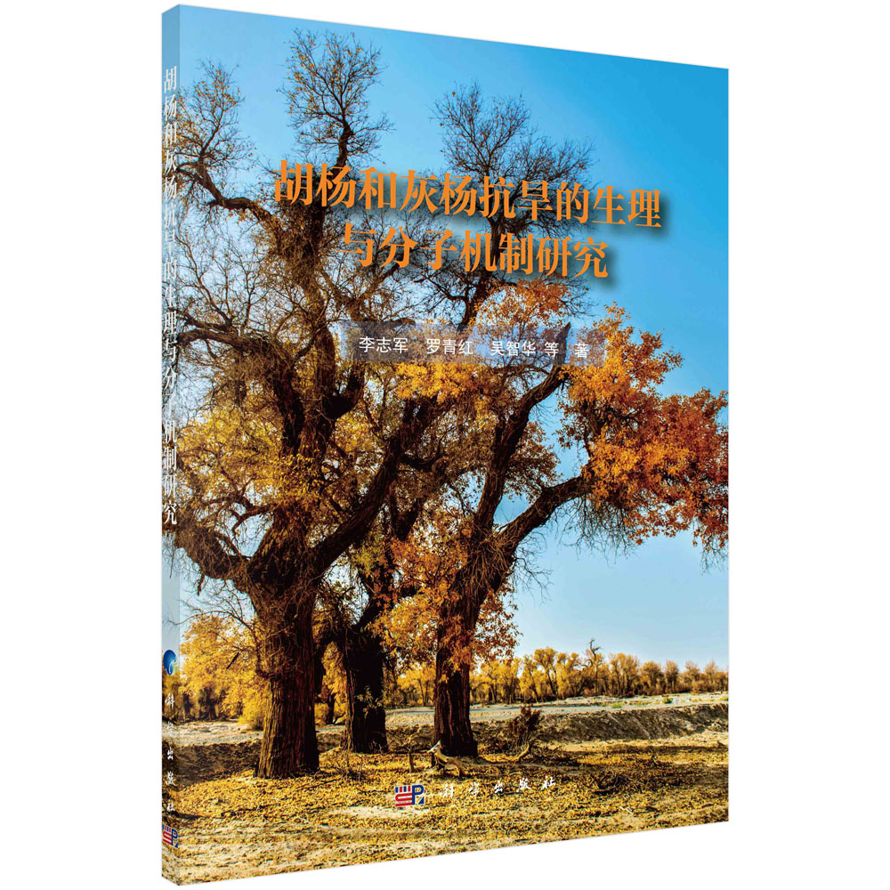 ����ͻҗ��ͺ������������әC(j��)���о�