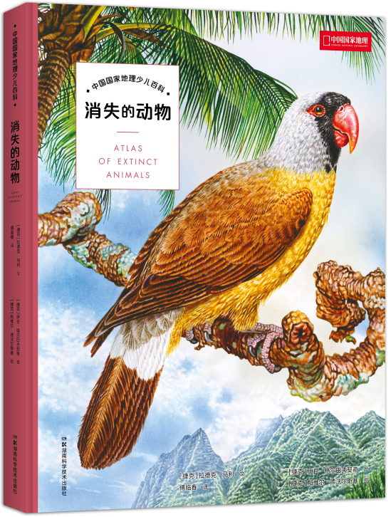 �Ї����ҵ����ك��ٿƣ���ʧ�Ą���