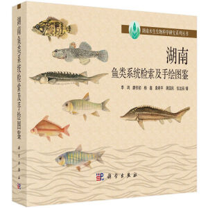 �����~�ϵ�y�z�������L�D�b