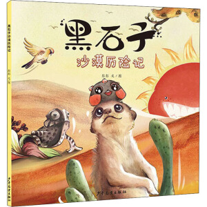 ��ʯ��ɳĮ�v�Uӛ