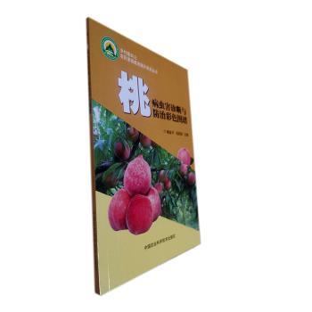 �Ҳ��x���\���c���β�ɫ�D�V