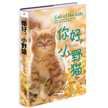 �����СҰ؈