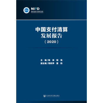 �Ї�֧������l(f��)չ��(b��o)�棨2020��