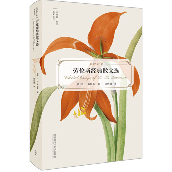 �ڂ�˹��(j��ng)��ɢ���x��Ӣ�h���� Ӣ�Zɢ�Ľ�(j��ng)���������g��