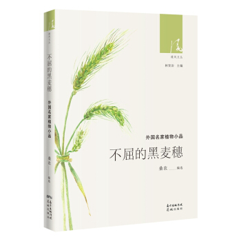 �����ĺ����롪���������ֲ��СƷ