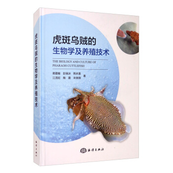 ���ߞ��\������W���B(y��ng)ֳ���g