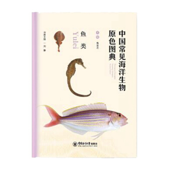 �Ї���Ҋ��������D��  �~�