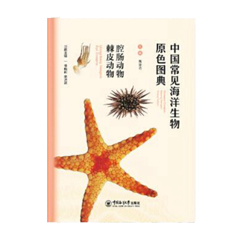 �Ї���Ҋ��������D��  ǻ�c����  ��Ƥ����