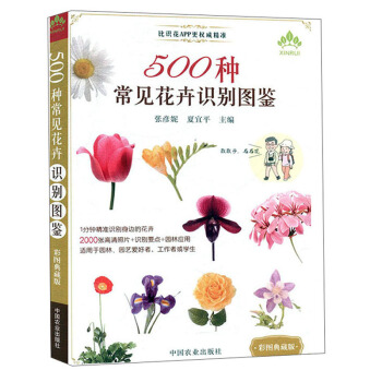 500�N��Ҋ�����R�e�D�b���ʈD��ذ棩