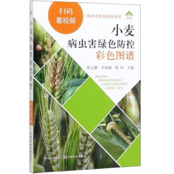 С�����x���Gɫ���ز�ɫ�D�V