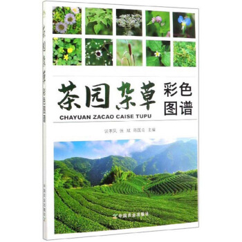 ��@�s�ݲ�ɫ�D�V