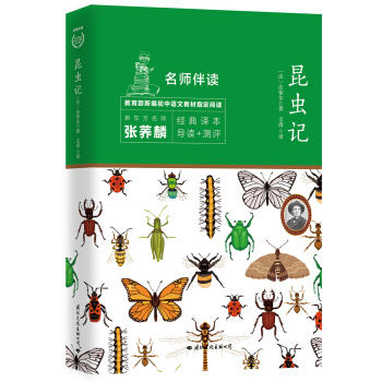 ���xӛ ���꼉�σ� �Z��������(d��o)�x�����棨�o�ϵK��x��