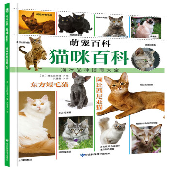 ���Ȍ��ٿ�ϵ�С���؈��ٿơ�