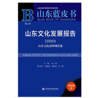 ɽ�|�Ļ��l(f��)չ��(b��o)�棨2020��