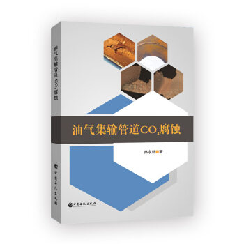 �͚⼯ݔ�ܵ�CO�����g