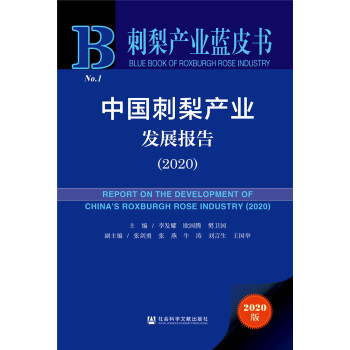 �Ї�(gu��)����a(ch��n)�I(y��)�l(f��)չ��(b��o)�� (2020)