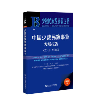 �ٔ�(sh��)����l(f��)չ�{Ƥ�����Ї��ٔ�(sh��)�����I(y��)�l(f��)չ��棨2019~2020��