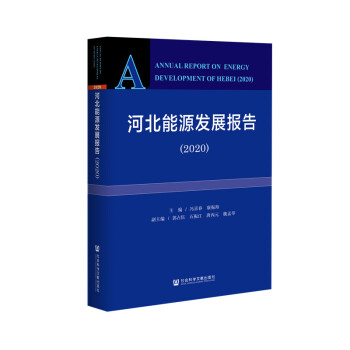 �ӱ���Դ�l(f��)չ��(b��o)��2020