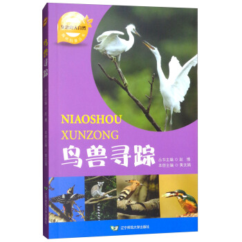 �B(ni��o)�F��ۙ/��߅�Ĵ���ȻȤζ���Յ���(sh��)