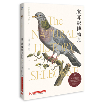 ����������־������D�b�棩