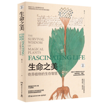 ����֮�����殐ֲ��������ǻ�