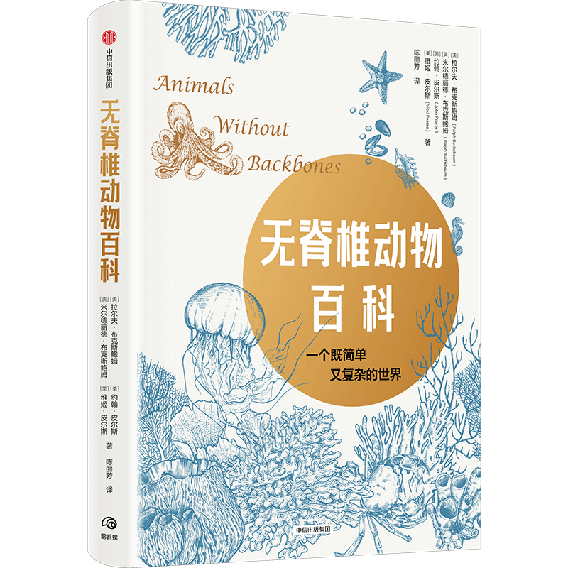 �o��׵��(d��ng)��ٿ�