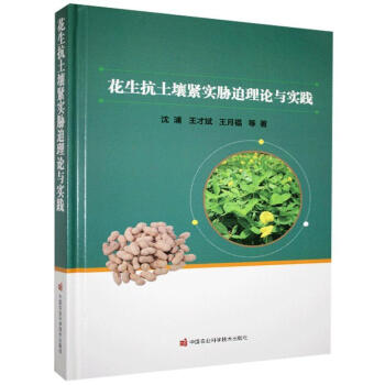 �����������o��(sh��)�{����Փ�c��(sh��)�`