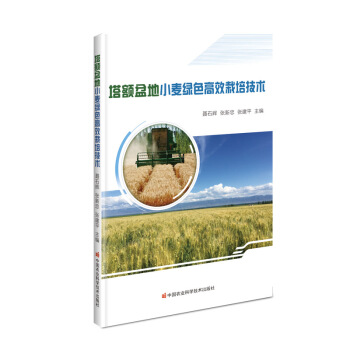 ���~���С���Gɫ��Ч���༼�g(sh��)