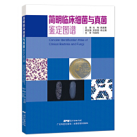 �����R����(x��)���c����b���D�V