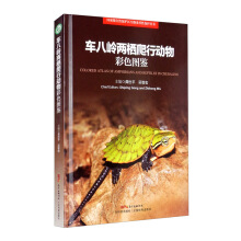 ܇�ˎX�ɗ����Є�(d��ng)���ɫ�D�b