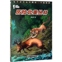 �v�U��������