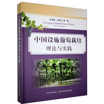 �Ї�(gu��)�O(sh��)ʩ����������Փ�c��(sh��)�`