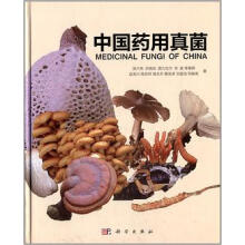 �Ї�ˎ�����