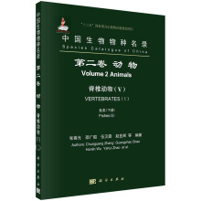 �Ї�(gu��)������N���  �ڶ��� ��(d��ng)�� ��׵��(d��ng)��(V) �~(y��)�