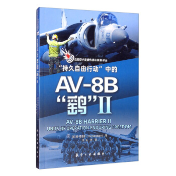 ���־������Єӡ��е�AV-8B���_��2