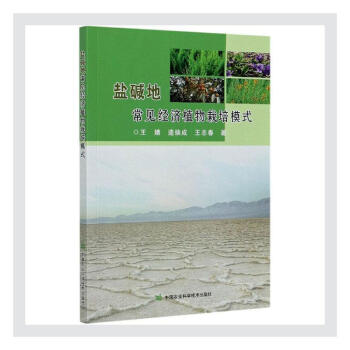 �}�A�س�Ҋ��(j��ng)��ֲ������ģʽ