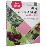 ���Ҳ��x���Gɫ���ز�ɫ�D�V